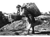 In such a basket Paul descended to escape from the window. This type of basket has been used since remote ages in Bible lands for carrying heavy loads of provisions from field to market. An early photograph.